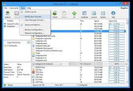 Disk Savvy Ultimate / Enterprise Crack 14.2.29+Activator Key Download 2022