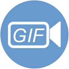 ThunderSoft Video To GIF Converter Crack  4.5.3 + Serial Key Download [Updated] 2022